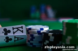 AG真人 zlsplayasia
