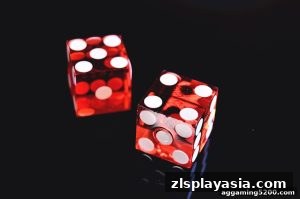 AG真人 zlsplayasia